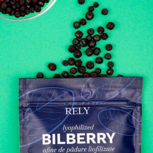 Freeze-Dried Bilberries - Image 2